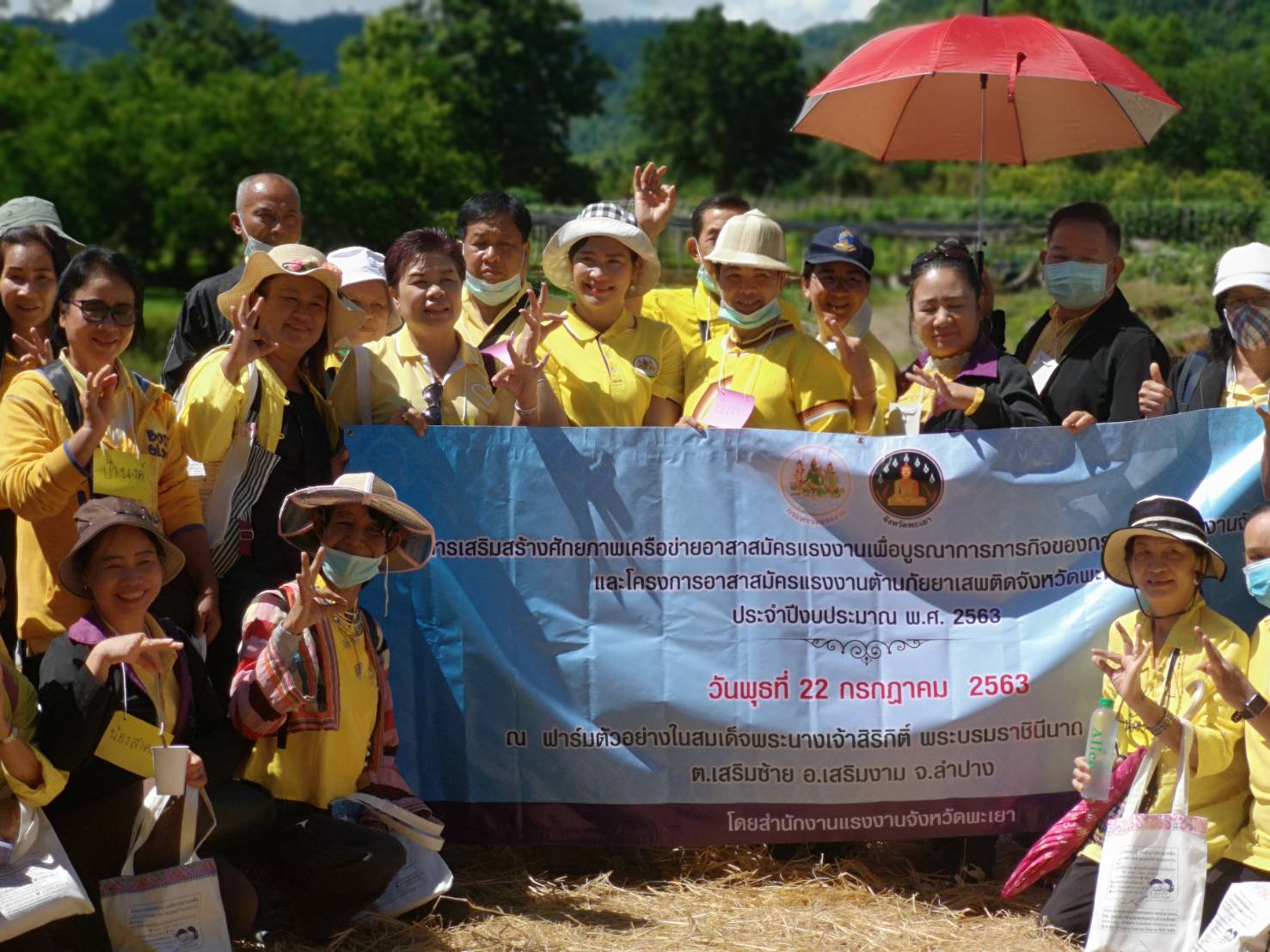 Mol-Thailand